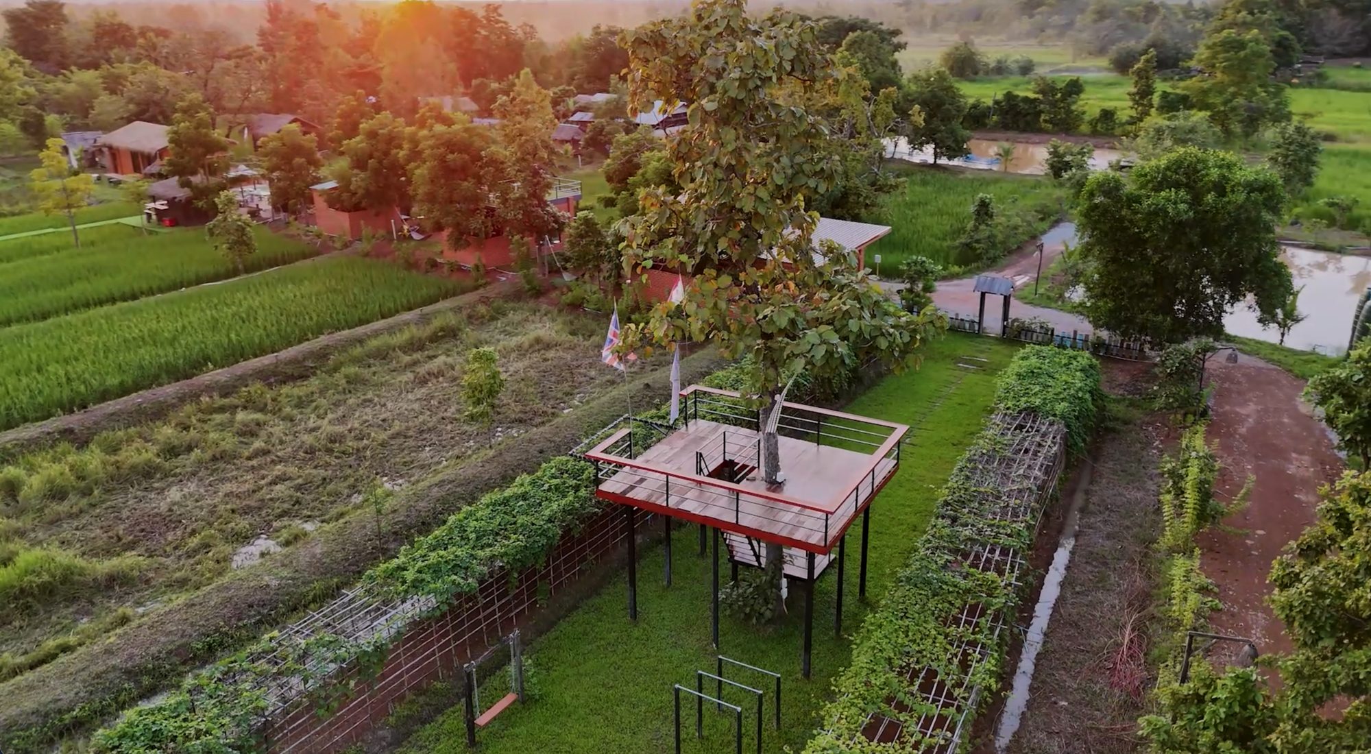 The treehouse bar above the land