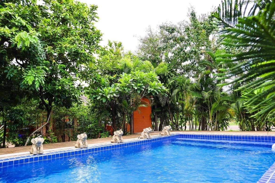 The swimming pool and grounds