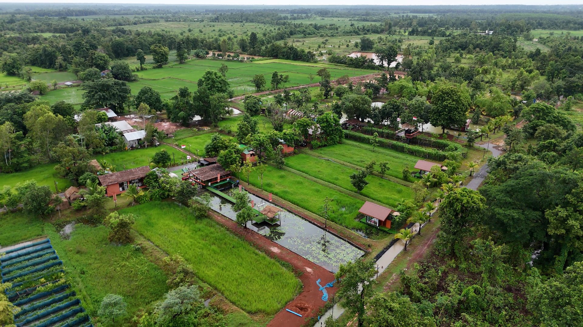 Aerial view of The Farm